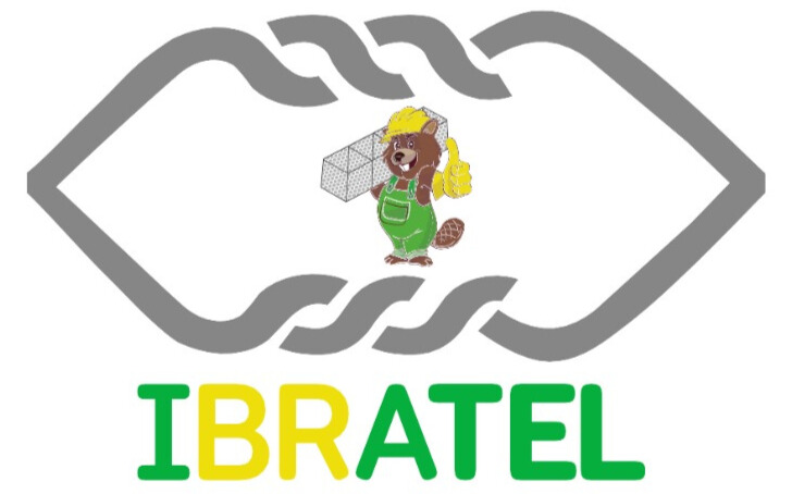 Gabião Beaver Zincalloy 910: alta resistência comprovada